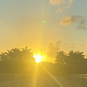 Meet your Posher, Martha